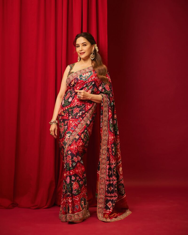 Chinnon Silk Saree with Floral Print (2)